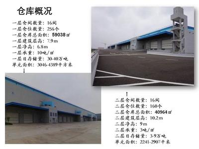 邁科物流 引領海上國際貨物運輸代理的專業力量